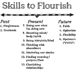 DAS Abundance Skills to Flourish pic